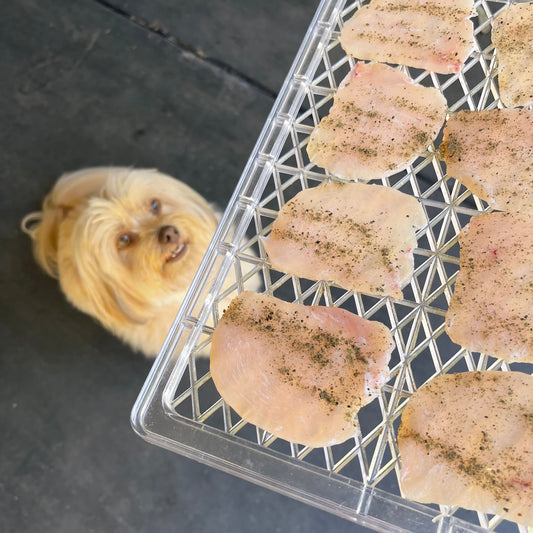 Say Goodbye to Smelly Dog Breath!