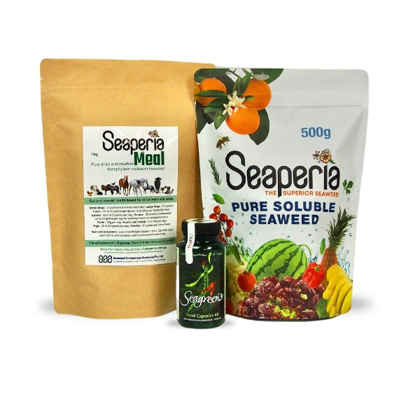 Seaperia seaweed products – Seaperia Meal 1kg, Seaperia Soluble 500g, and Seagreens Food Capsules 60s.