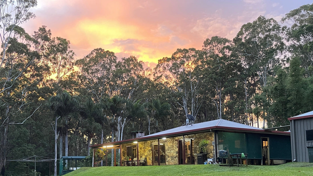 Unlock Your Farm’s Fertility with the Power of the Sun and Seaperia Seaweed