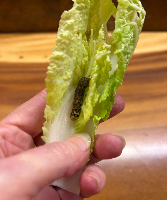 Why should our homegrown vegetables be perfect?
