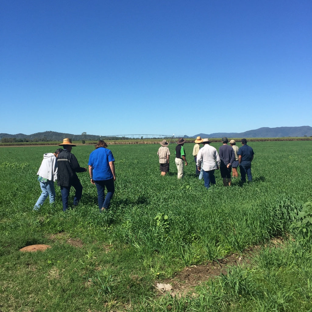 Be Brave and Make a Change