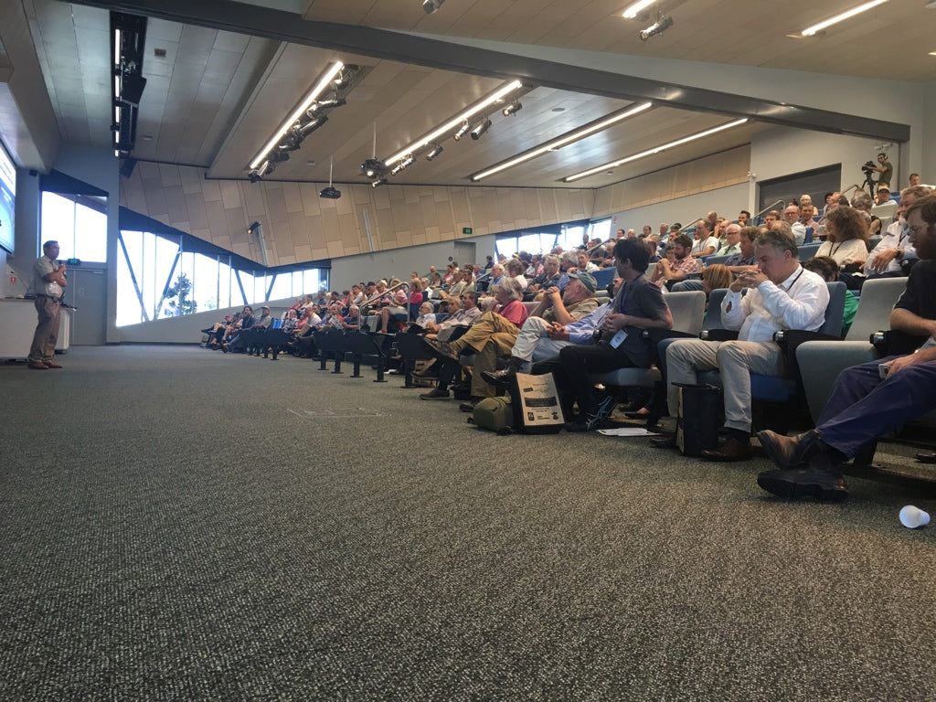 What Is Ergothioneine? The Longevity Vitamin Powered by Seaperia Seaweed