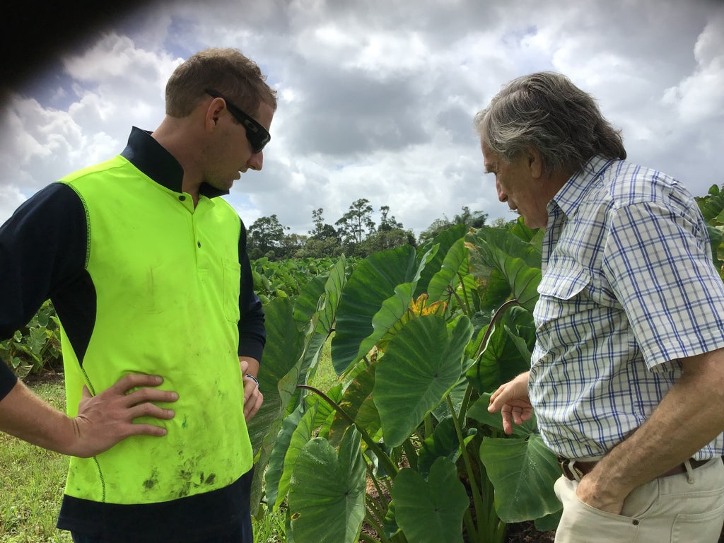 Seaperia Seaweed Australia