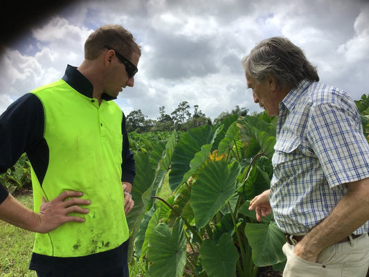 Seaperia Seaweed Australia