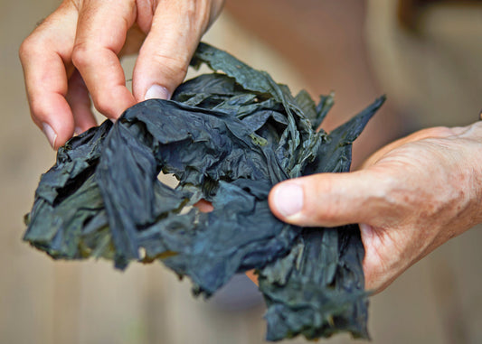 Healthy Food - Healthy People - Seaperia Seaweed