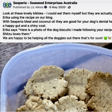 Dog treat recipes with seaweed kelp ascophyllum seaweed dog treats