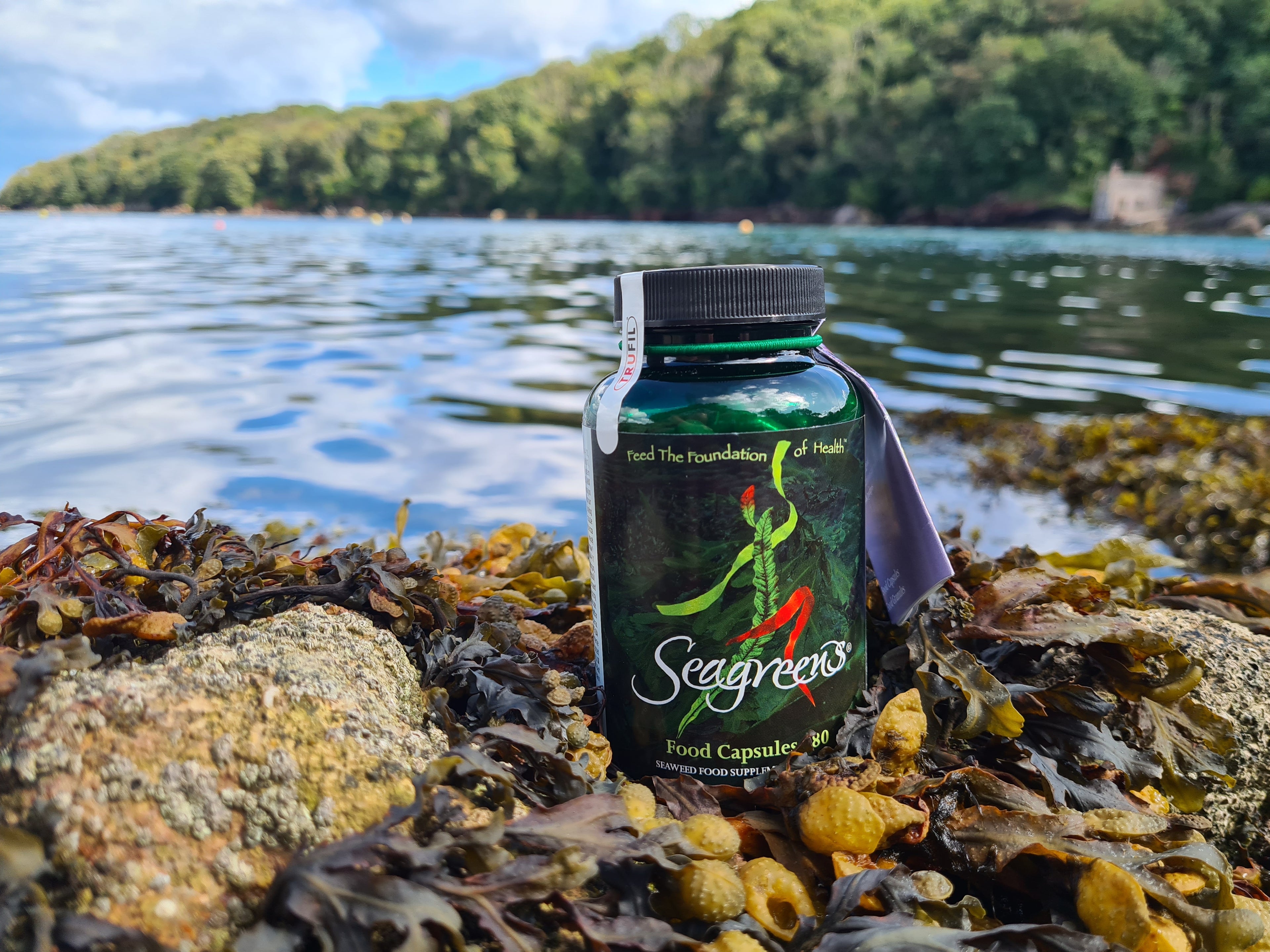 Seagreens supplement bottle on a rocky shore with water and greenery in the background