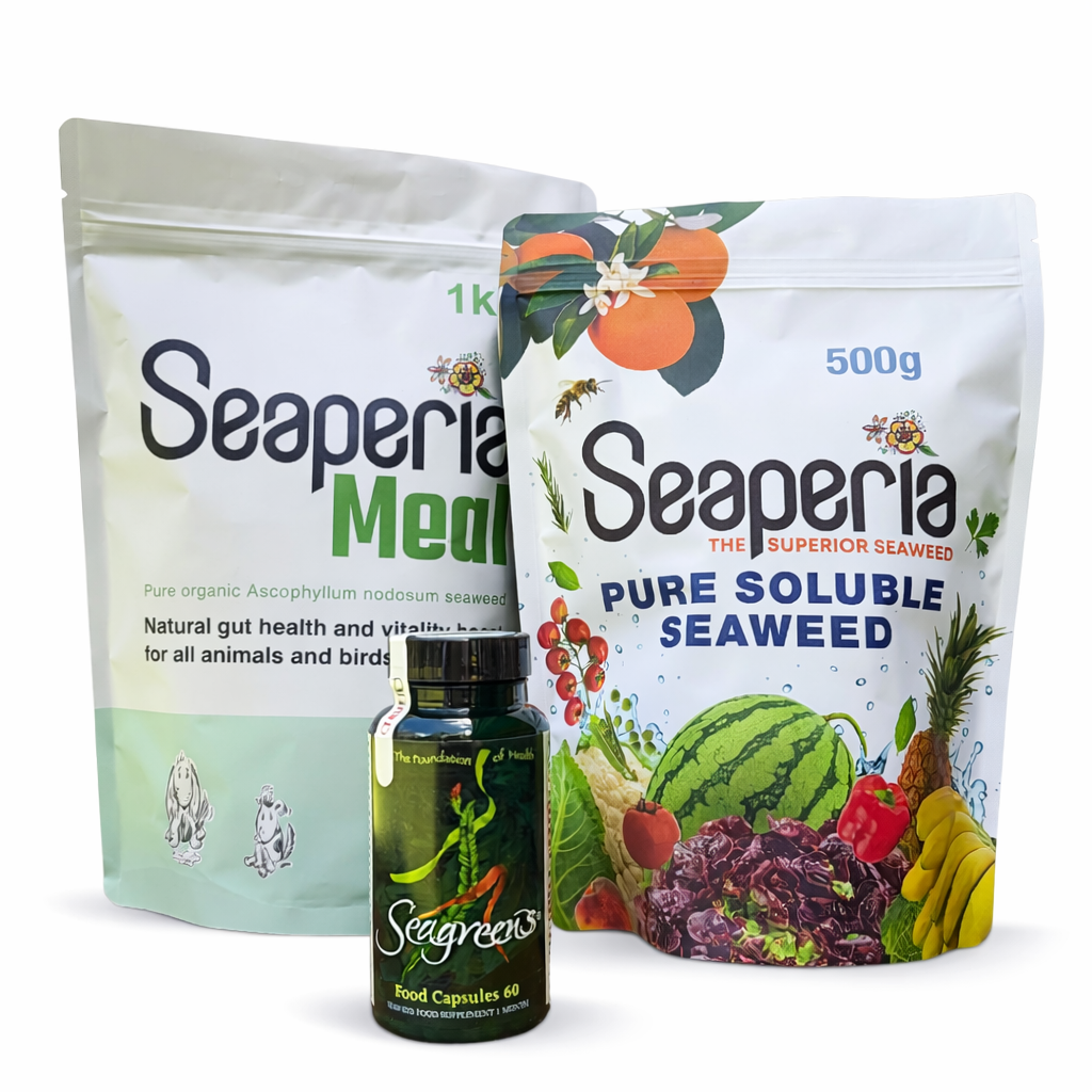 Value Bundle 2 - Ultimate Healthy Life Super Pack