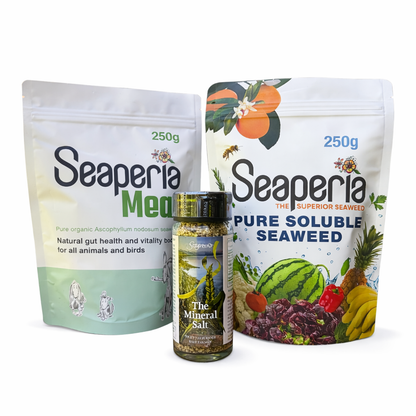 The Seaweeder Starter Bundle