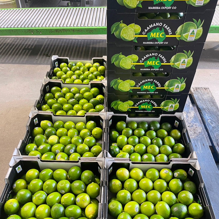 Bins of green limes with MEC branding on a metal surface.