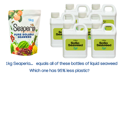 Comparison of Seaperia ascophyllum seaweed package with multiple SoSo Seaweed kelp seaweed bottles on a white background.