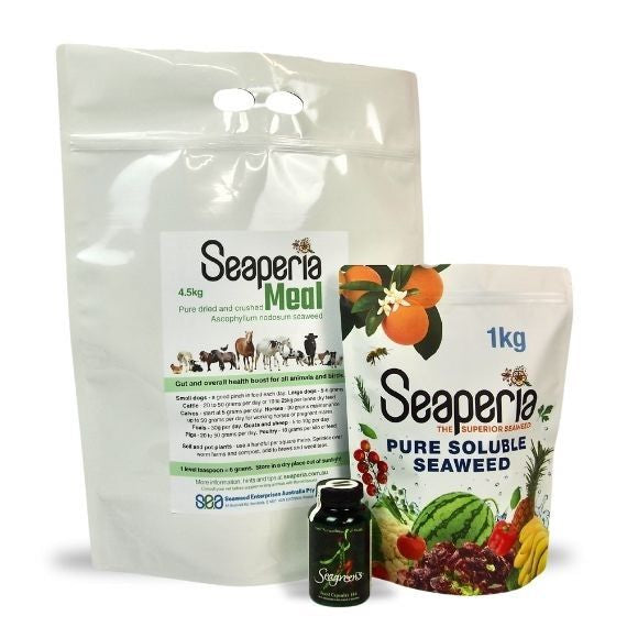 Value Bundle 3 - Ultimate Healthy Life Mega Pack