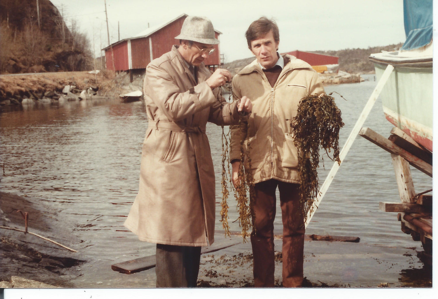 Grahame West and the sales director of Algea standing on a boat ramp in Norway holding Ascophyllum nodosum seaweed.