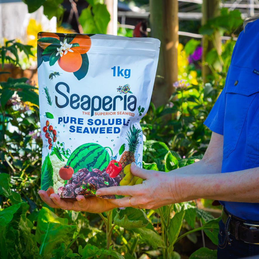 Person holding a bag of Seaperia pure soluble seaweed in a garden setting
