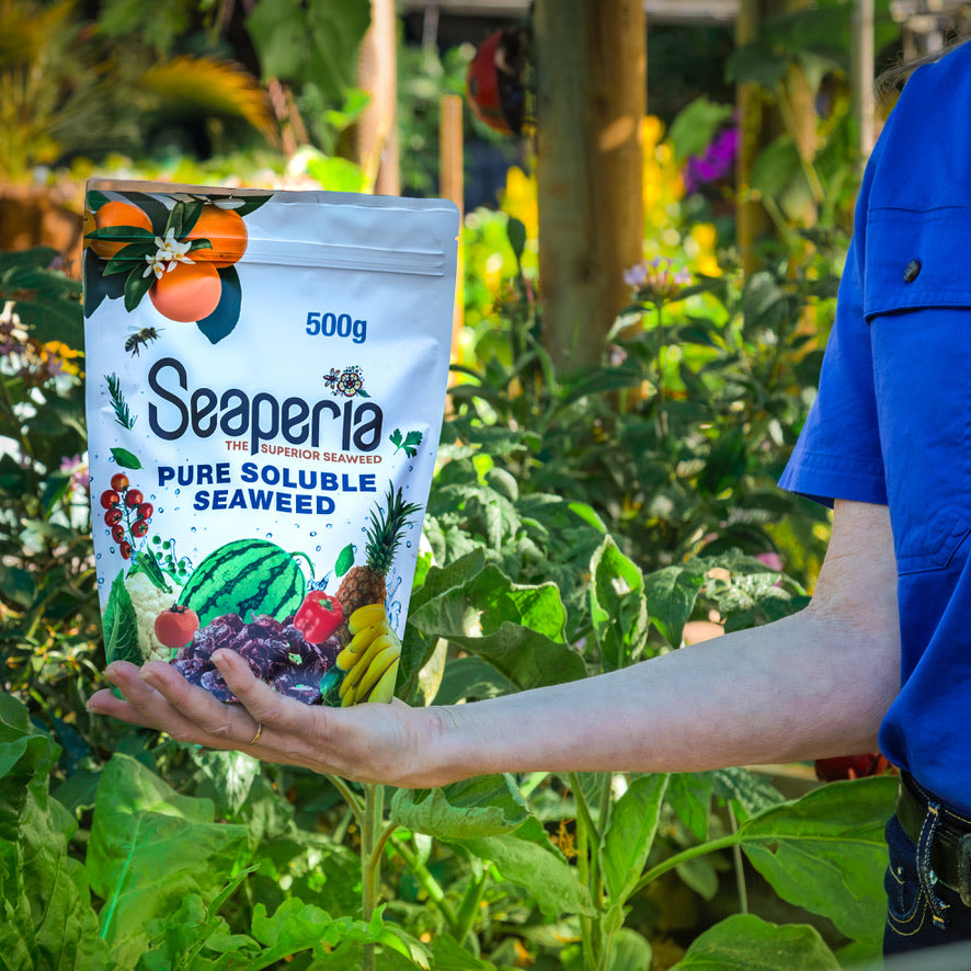 Person holding a Seaperia pure soluble seaweed package in a garden setting