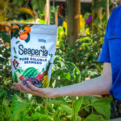 Person holding a Seaperia pure soluble seaweed package in a garden setting
