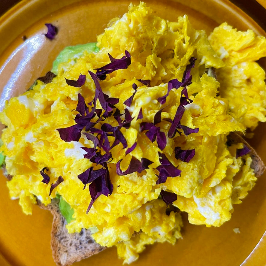 Bright yellow scrambled eggs on toast with a ruby red Dulse seaweed garnish