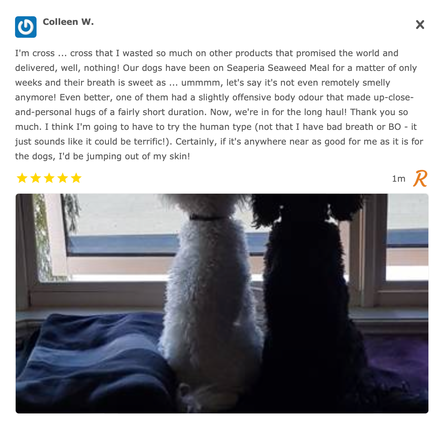A screenshot of a customer review about seaweed for dog breath and body odour.