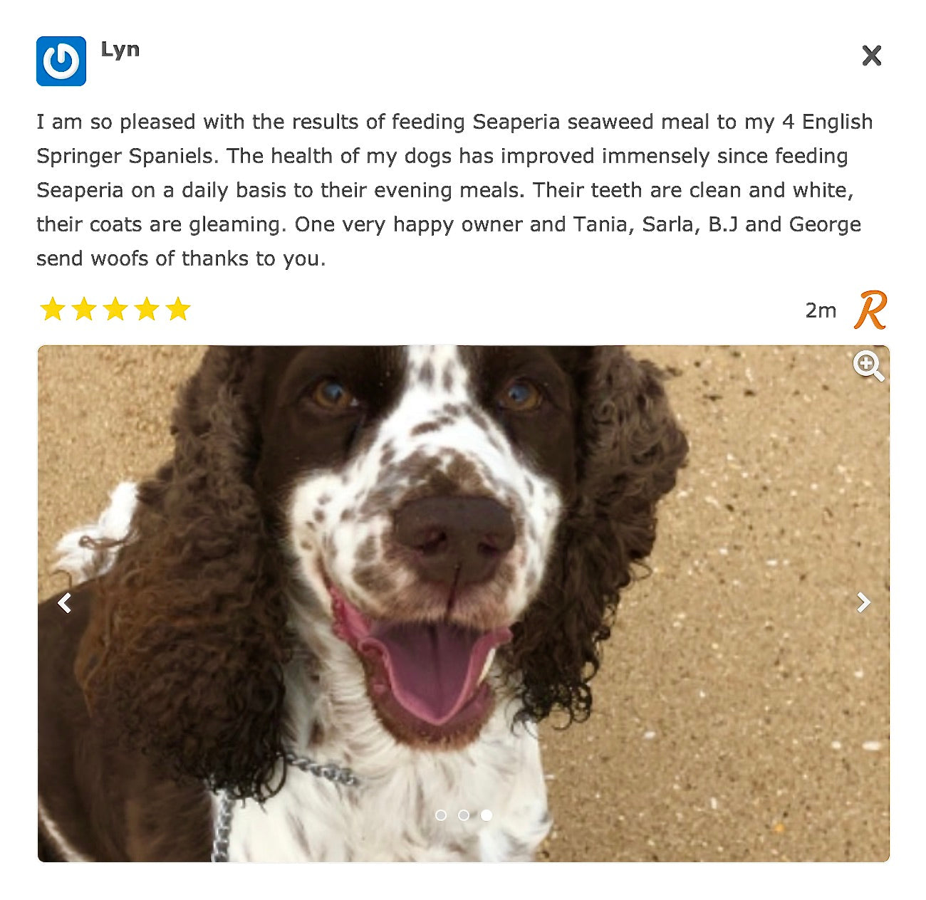 A screenshot of a customer review about Seaperia meal for clean dog teeth and gleaming coats